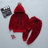 Girls Clothing Sets Children Clothing 2019 Autumn Winter Toddler Girls Clothes 2Pcs Outfit Kids Tracksuit Suit For Boys Clothes