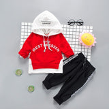 Children Clothing 2019 Autumn Winter Toddler Boy Clothes Hooded+Pant Outfit Kids Clothes Suit For Boys Clothing Set 1 2 3 4 Year